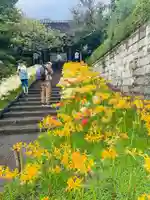 横浜 西方寺(神奈川県)