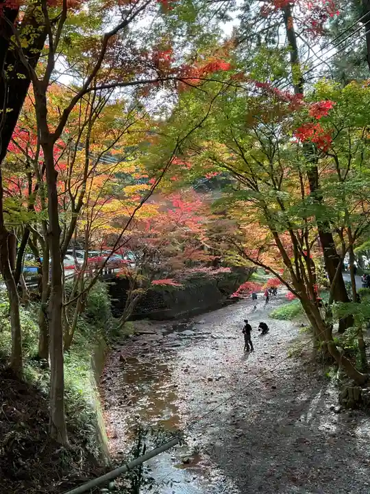 小國神社(静岡県)
