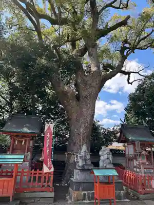 長田神社(兵庫県)