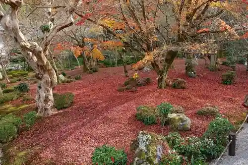 圓光寺の庭園