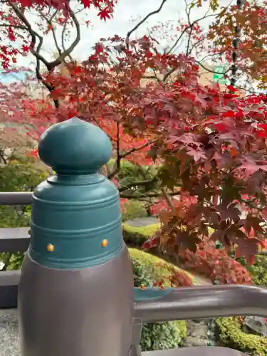 金剛寺の{uncategorized: "未分類", other: "その他", undefined: "問題あり", building: "その他建物", grave: "お墓", sacred_gate: "鳥居", guardian: "狛犬", statue: "像", buddha: "仏像", history: "歴史", nature: "自然", garden: "庭園", animal: "動物", pagoda: "塔", temizu: "手水舎", mountain_gate: "山門・神門", sanctuary: "本殿・本堂", subordinate: "末社・摂社", art: "芸術", scenery: "景色", jizo: "地蔵", ema: "絵馬", goshuin: "御朱印", omikuji: "おみくじ", items: "授与品その他", amulet: "お守り", goshuincho: "御朱印帳", eats: "食事", festival: "お祭り", votive_dance: "神楽", shichigosan: "七五三参", wedding: "結婚式", experience: "体験その他", initially: "初詣", around: "周辺", anti_infection: "感染症対策"}