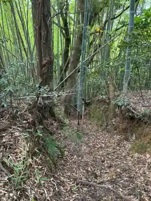 月読神社(千葉県)