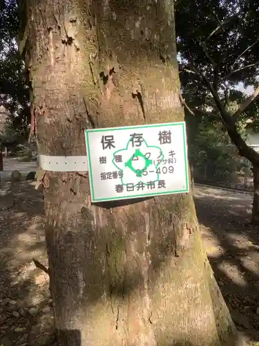 神明社（神明大明神）の自然