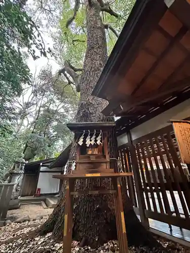 乃木神社(東京都)
