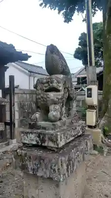 徳守神社の狛犬