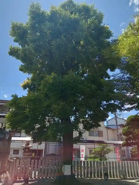 古宮神社(大阪府)
