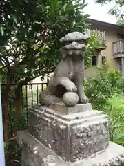 五所神社の狛犬