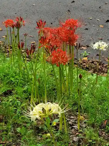 陽林寺(福島県)