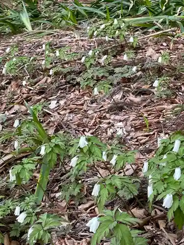 国上寺(新潟県)