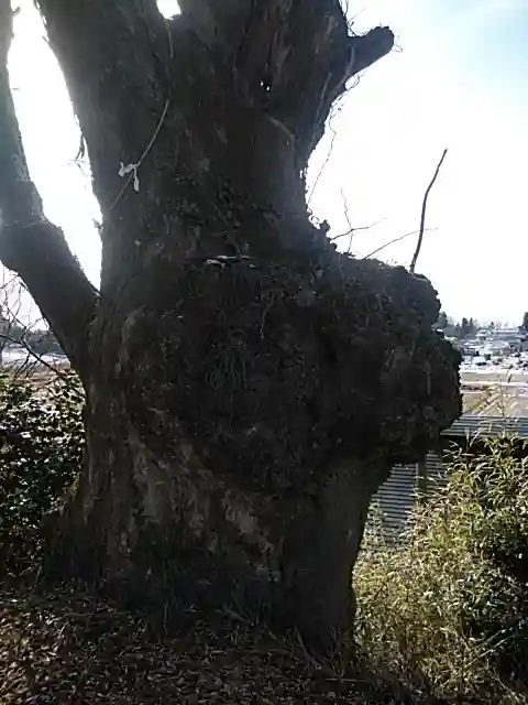 浮島神社(福島県)