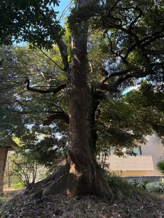 風早神社(千葉県)