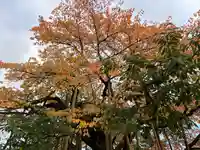 輪王寺(栃木県)