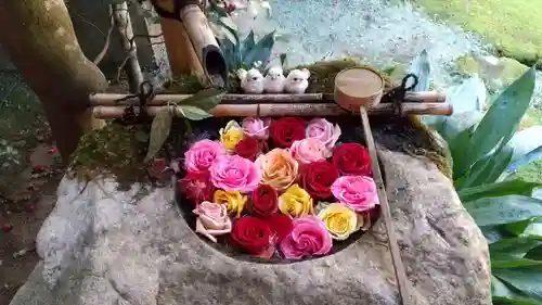 柳谷観音　楊谷寺の手水舎