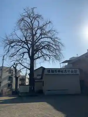 稲荷神社の自然