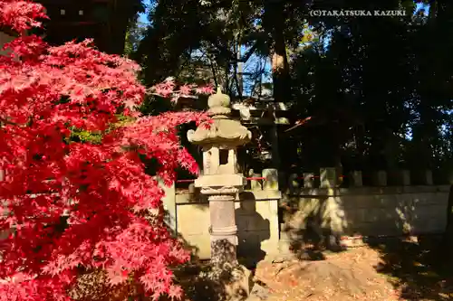 美和神社(群馬県)