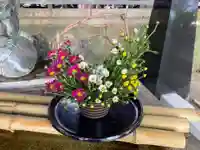 千住本氷川神社の手水舎