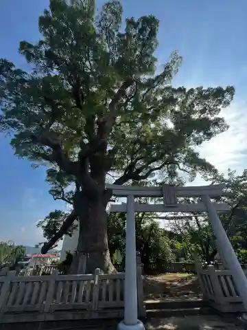 志筑別神社(兵庫県)