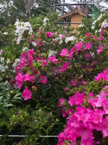 境香取神社の自然