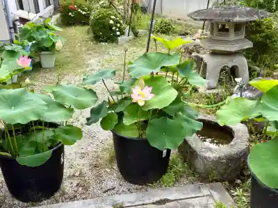 尾張高野山宗　総本山　岩屋寺(愛知県)