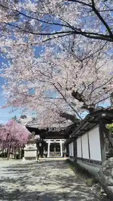 吒枳尼天(法伝寺)の鳥居