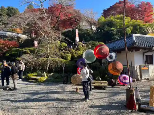 岡寺（龍蓋寺）(奈良県)