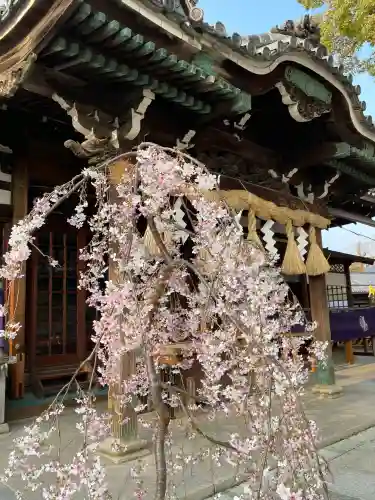 百舌鳥八幡宮の{uncategorized: "未分類", other: "その他", undefined: "問題あり", building: "その他建物", grave: "お墓", sacred_gate: "鳥居", guardian: "狛犬", statue: "像", buddha: "仏像", history: "歴史", nature: "自然", garden: "庭園", animal: "動物", pagoda: "塔", temizu: "手水舎", mountain_gate: "山門・神門", sanctuary: "本殿・本堂", subordinate: "末社・摂社", art: "芸術", scenery: "景色", jizo: "地蔵", ema: "絵馬", goshuin: "御朱印", omikuji: "おみくじ", items: "授与品その他", amulet: "お守り", goshuincho: "御朱印帳", eats: "食事", festival: "お祭り", votive_dance: "神楽", shichigosan: "七五三参", wedding: "結婚式", experience: "体験その他", initially: "初詣", around: "周辺", anti_infection: "感染症対策"}