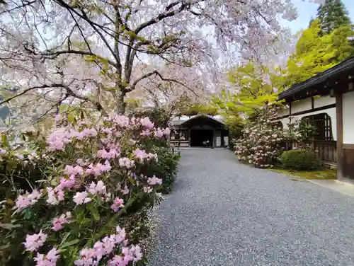 三千院門跡(京都府)