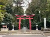 彌彦神社の鳥居