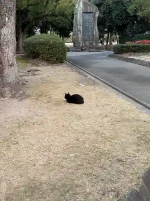 十日恵比須神社(福岡県)