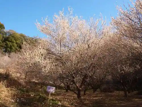 壽命院 永徳寺(栃木県)