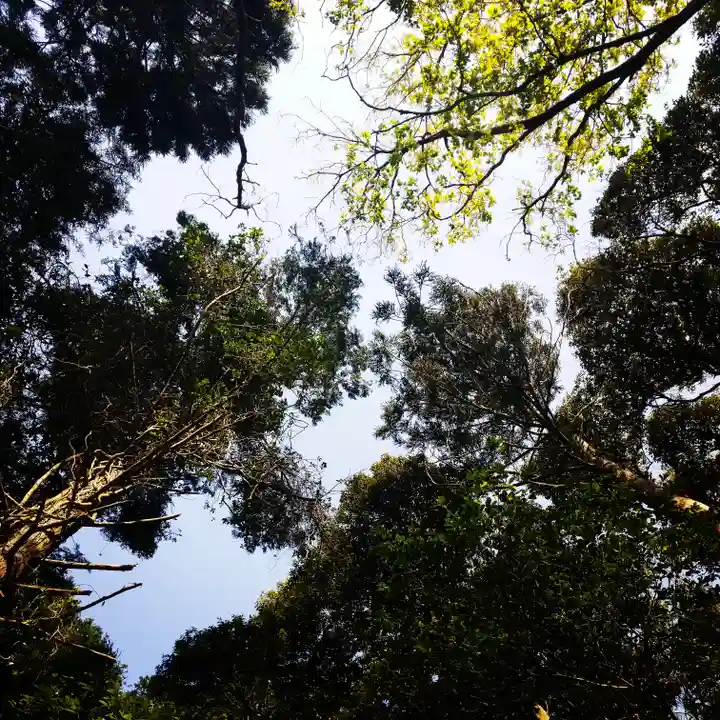 稲荷神社の自然