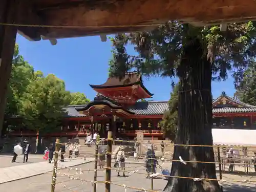 石清水八幡宮(京都府)