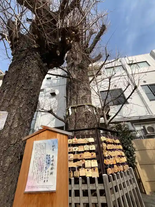 天祖神社(東京都)