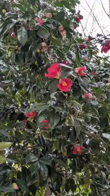 新宮神社(京都府)
