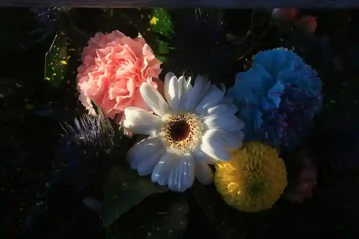 豊景神社の手水舎