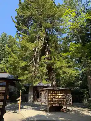 大崎八幡宮(宮城県)