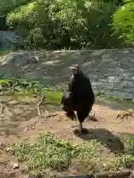 熱田神宮(愛知県)