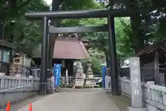 高円寺氷川神社の鳥居