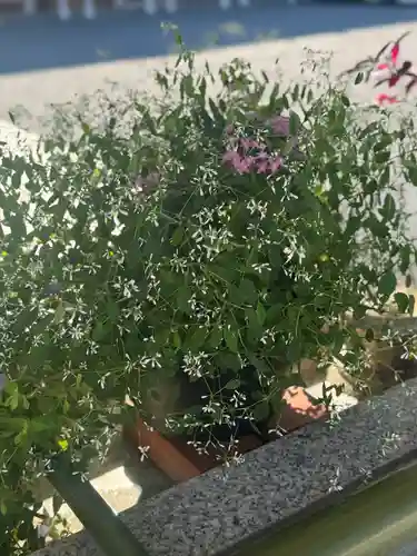 廣島護國神社(広島県)