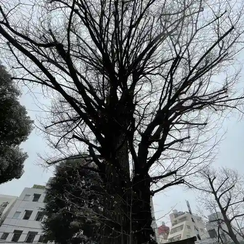 鳩森八幡神社(東京都)
