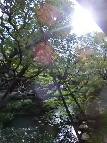 禅林寺（永観堂）の庭園