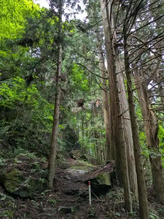 東堂山 満福寺(昭和羅漢)の自然