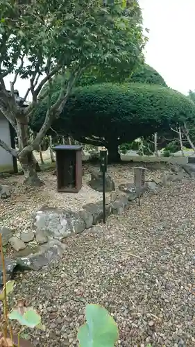 福田寺の自然