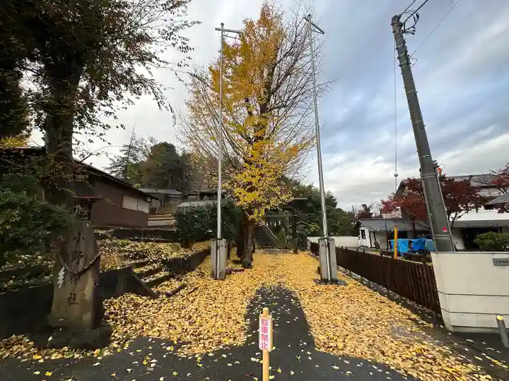 小野神社(東京都)