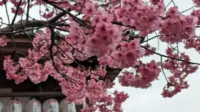 大歳神社(京都府)