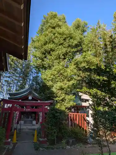 鷺宮八幡神社(東京都)