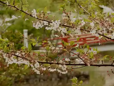 旗上弁財天社(神奈川県)