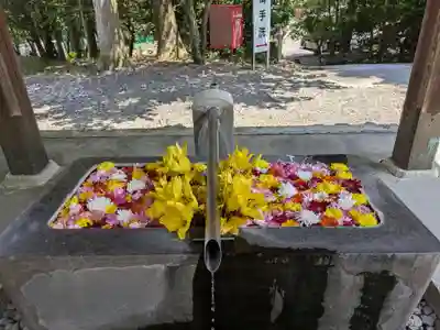 美濃國一宮　南宮大社(岐阜県)