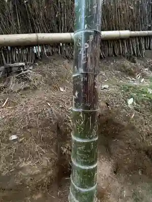 野宮神社(京都府)