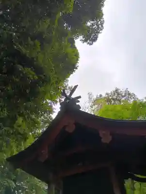 麻賀多神社(千葉県)